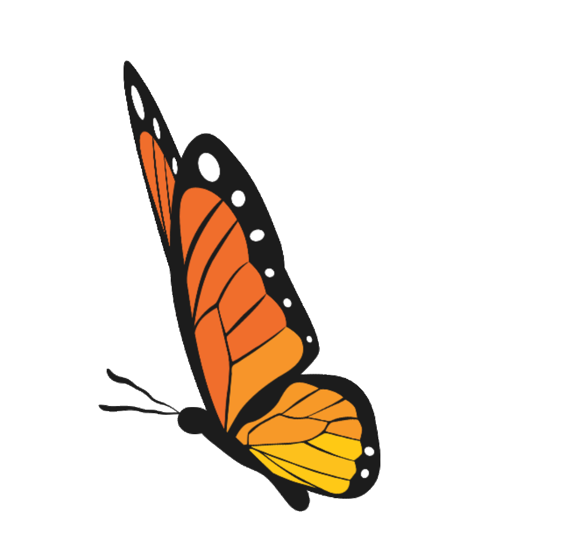 butterfly