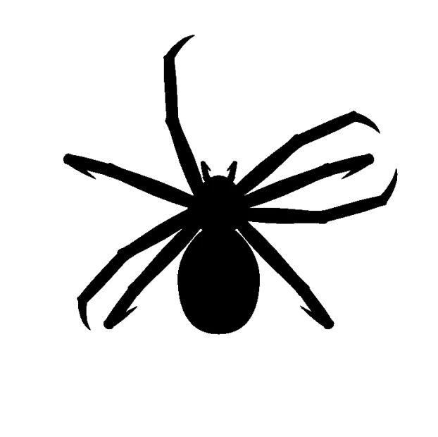 spider
